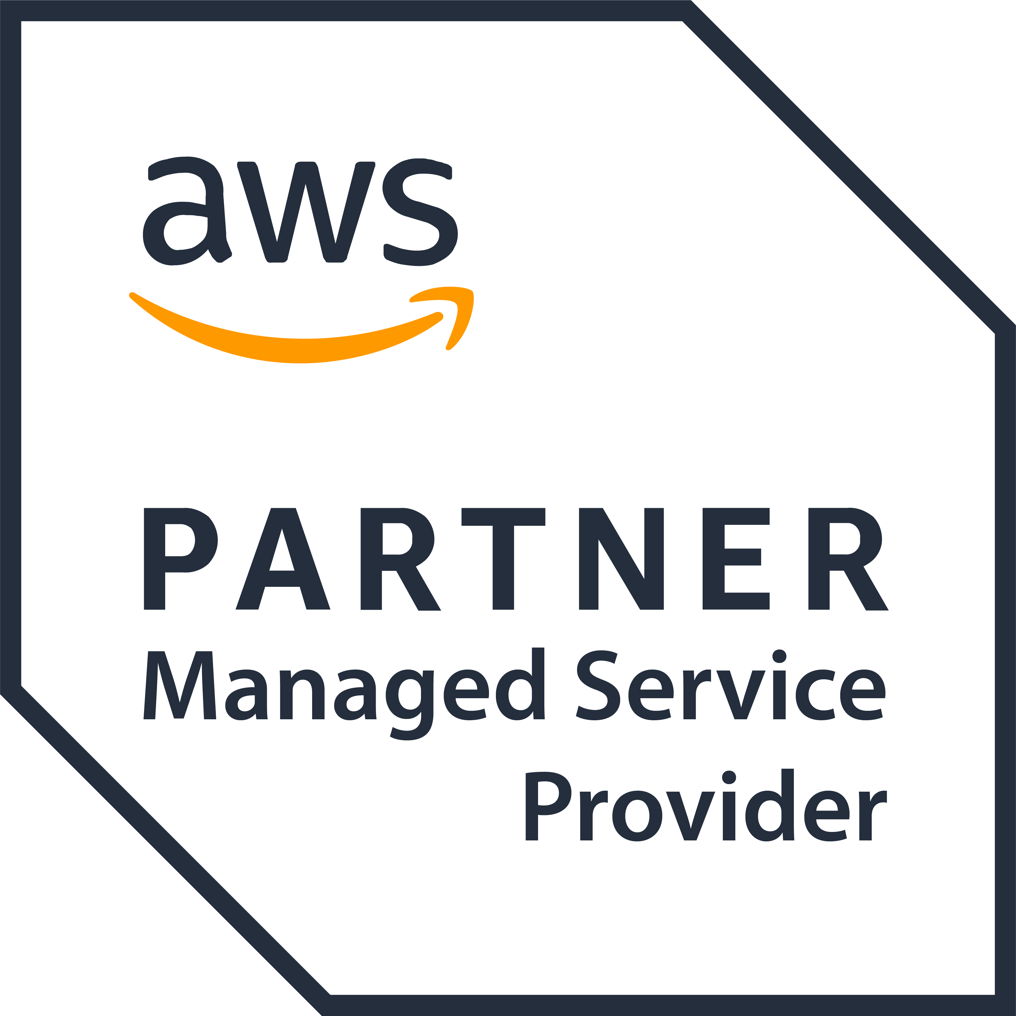 Managed Service Provider